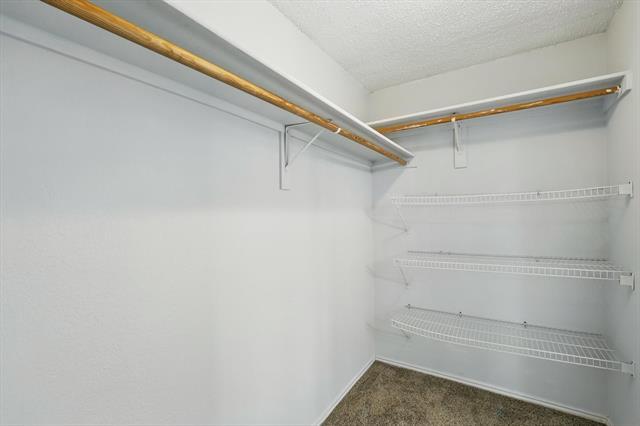 Building Photo - 4271 Cave Cove Ct