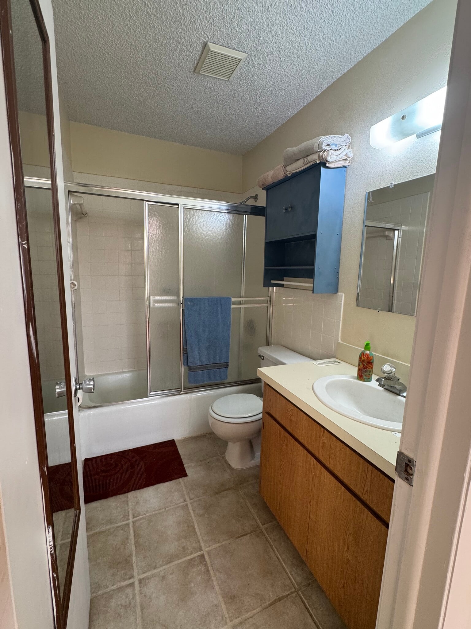 Master bedroom bathroom - 21600 Widgeon Ter