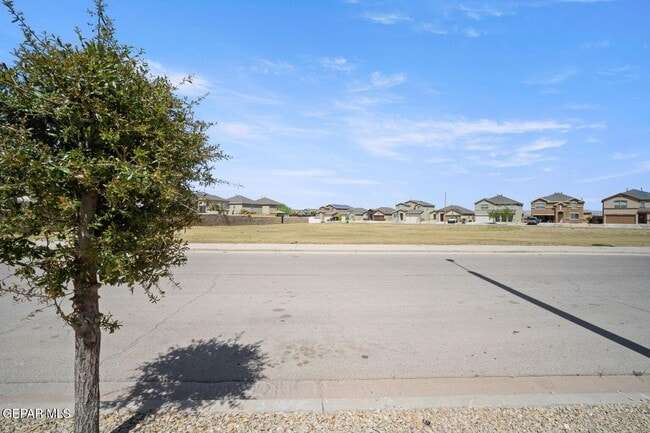 Building Photo - 3825 Loma Reina