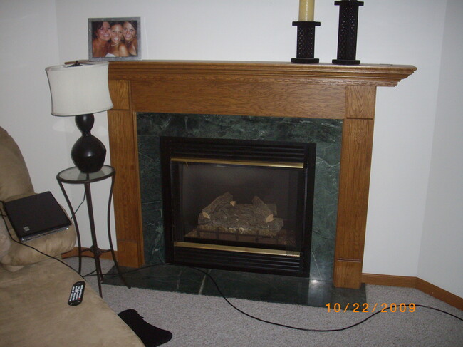 gas fireplace - 4615 Kappus Dr