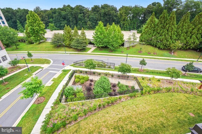 Building Photo - 3104 Royal Fern Pl