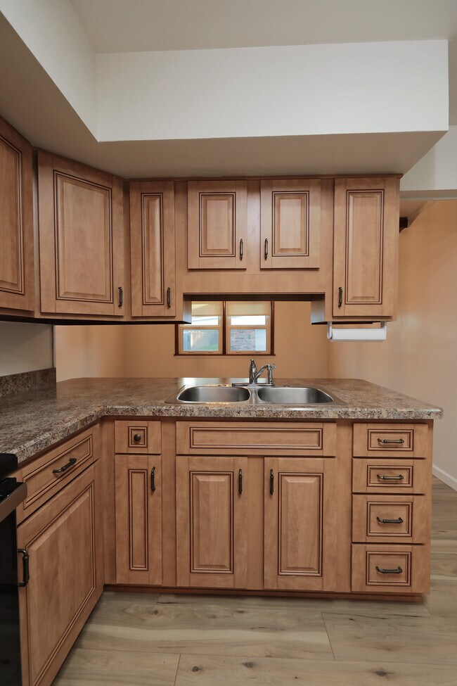 Building Photo - 2509 Paddock Ct