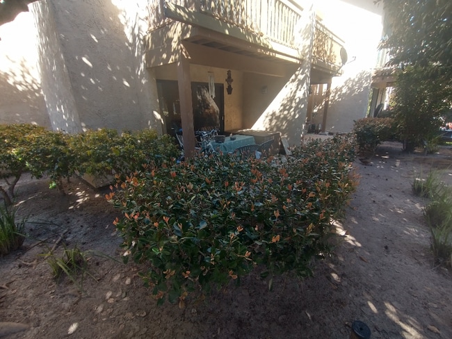 Building Photo - 340 Orange Blossom
