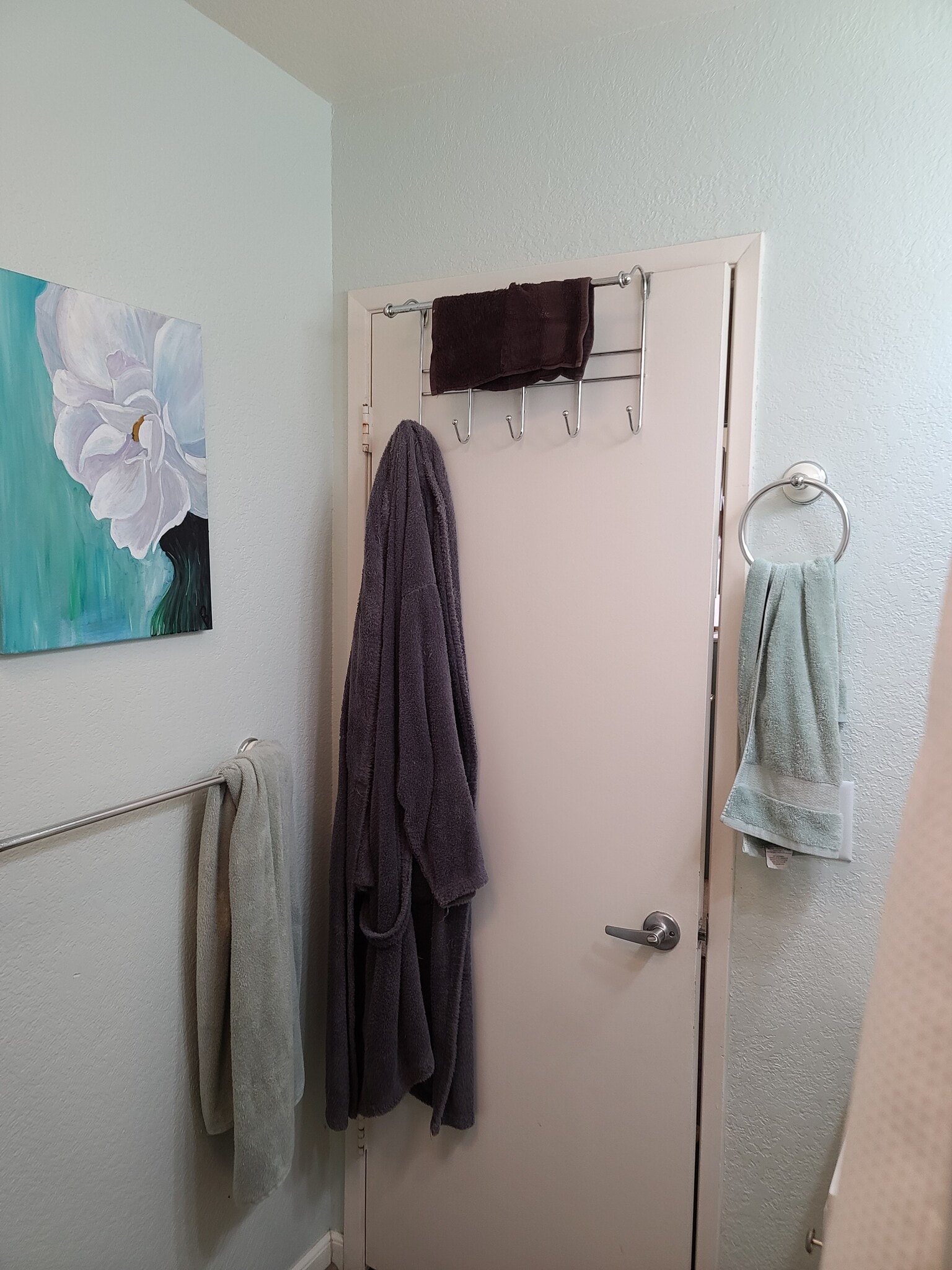 Towel racks in hall bath - 3400 Santa Maria Way