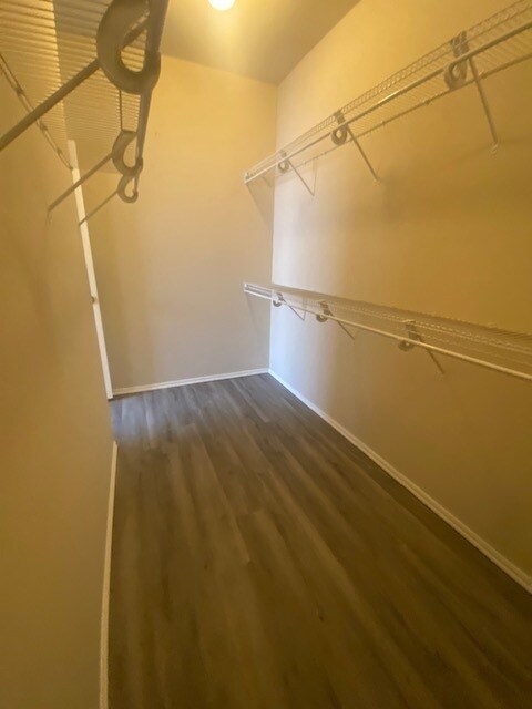 Building Photo - 14445 Timberdale Dr