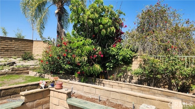 Building Photo - 27101 Via San Diego