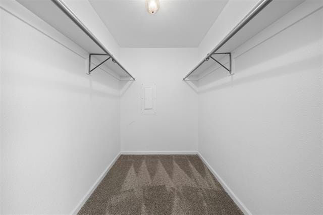 Building Photo - 2901 Woodhaven