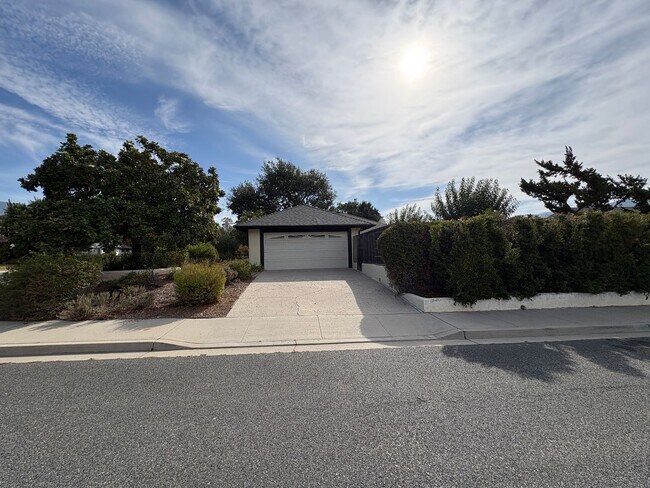 Building Photo - 1105 Del Nido Ct
