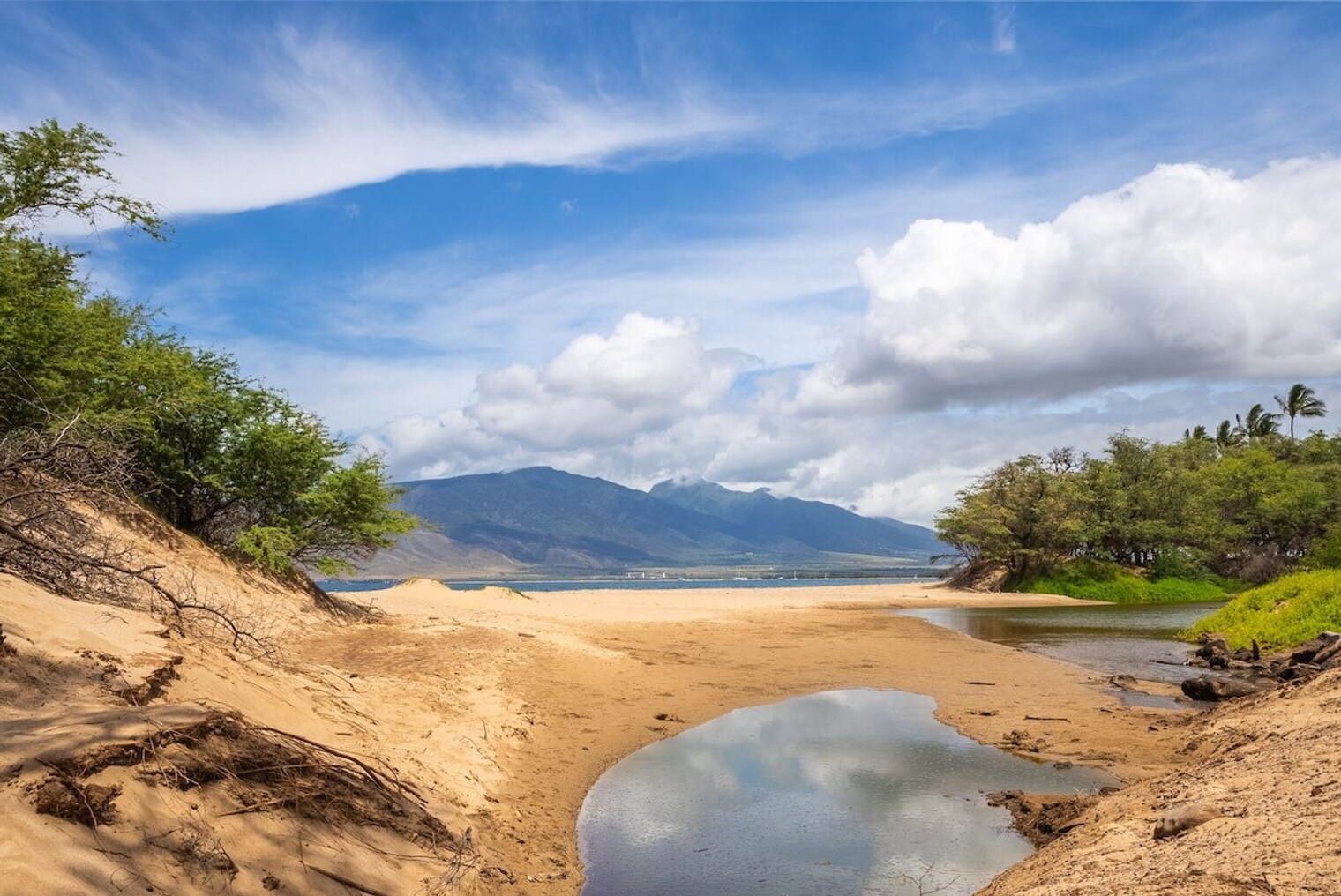 Building Photo - 679 S Kihei Rd