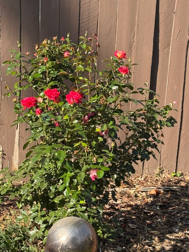 Building Photo - 4120 E Congress Ave