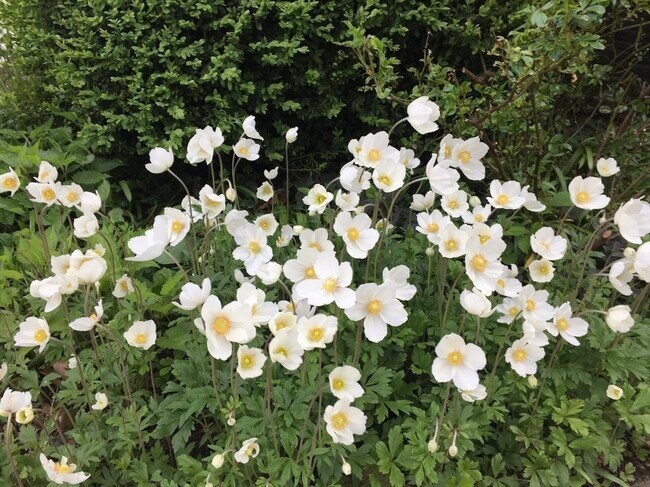 Building Photo - 918 Hale St