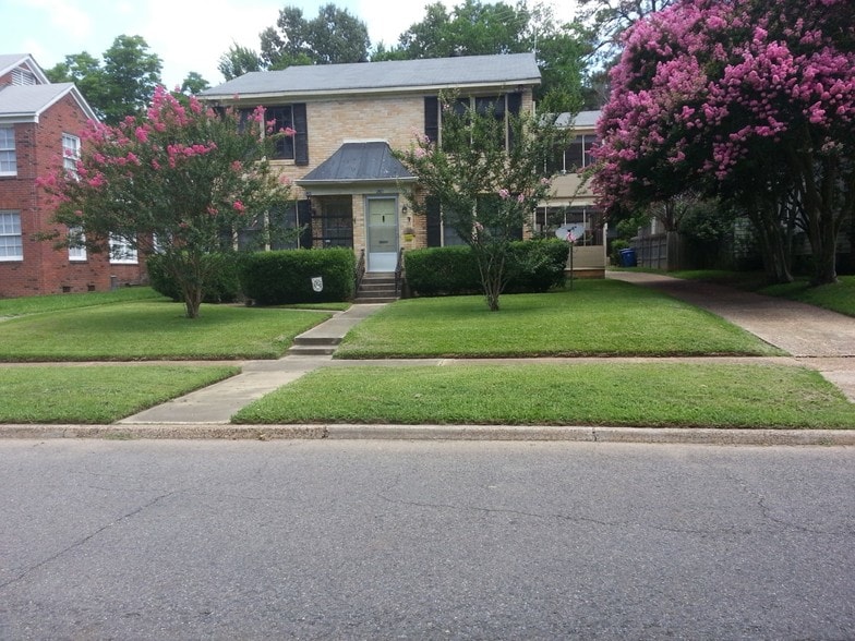 view from street - 528 Stephenson St