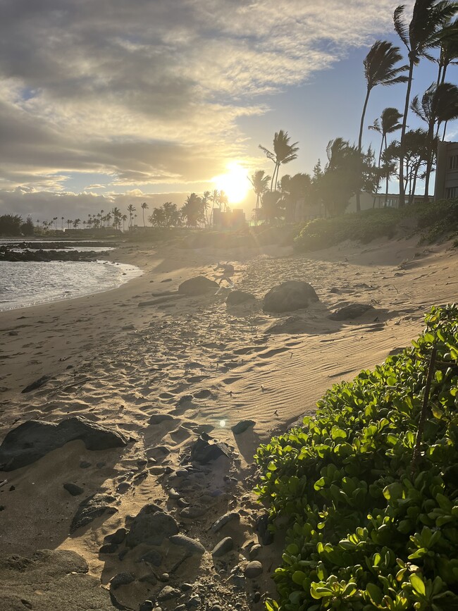 Beach across the street - 111 Kahului Beach Rd