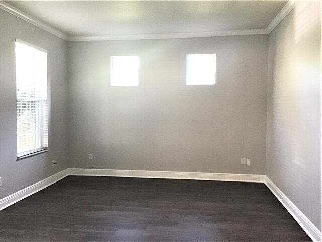 Building Photo - 3508 Tern Hollow