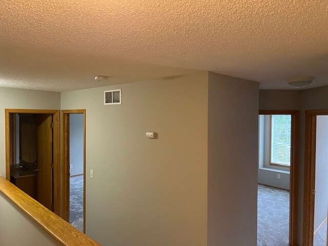Upstairs Hallway - 11027 Douglas Ln N