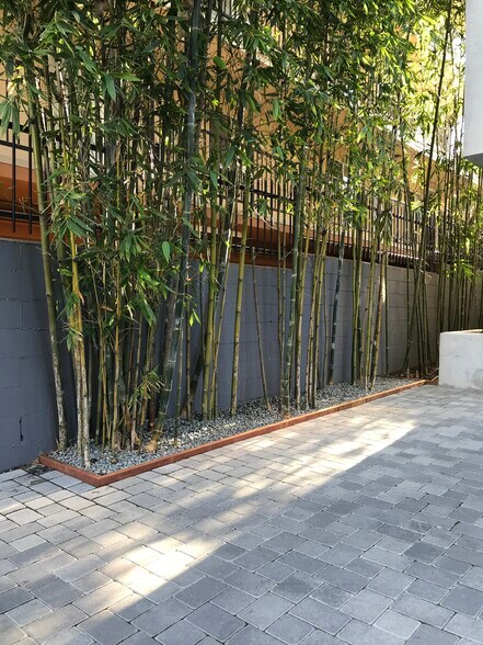 Motor Court Bamboo Landscaping - 741 Wilcox Ave