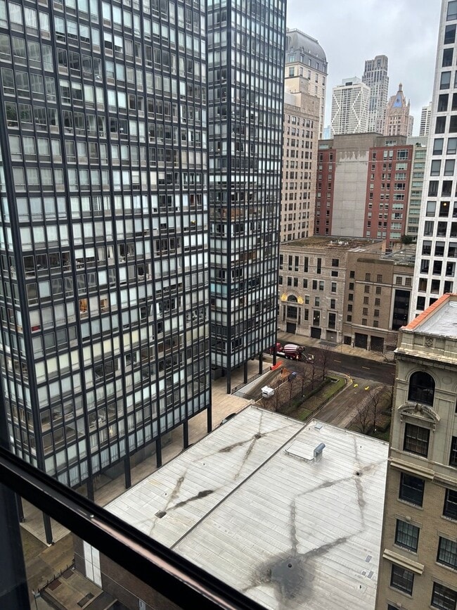 Building Photo - 900 N Lake Shore Dr