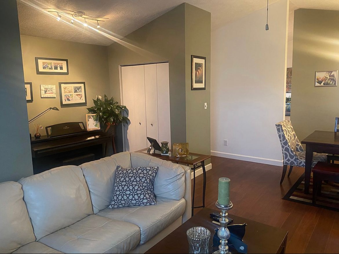 Living room - 733 Riley Ave