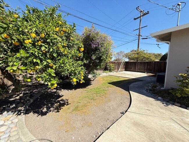 Building Photo - Updated single-level home located in the highly sought-after Killarney Farms neighborhood of Sant...