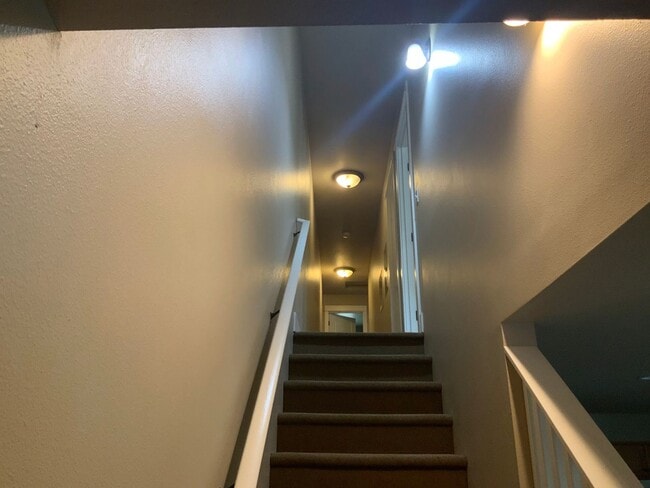 Building Photo - 5 Bedroom Duplex in University Area