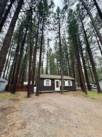 Building Photo - Cozy 2 Bedroom Dog Friendly Cabin with Fully Fenced Yard in South Lake Tahoe