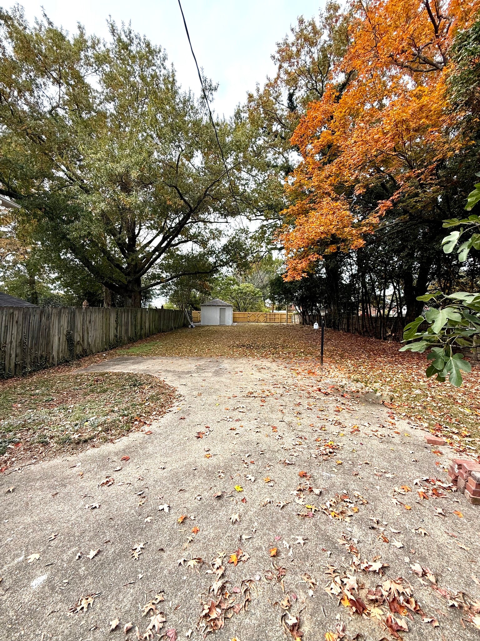 Huge fenced in backyard - 2312 Hawthorne Ave