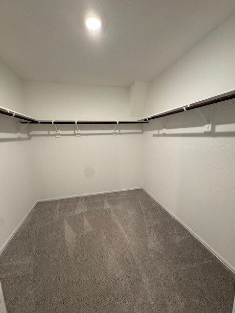 Building Photo - 3111 Stotesbery Dr