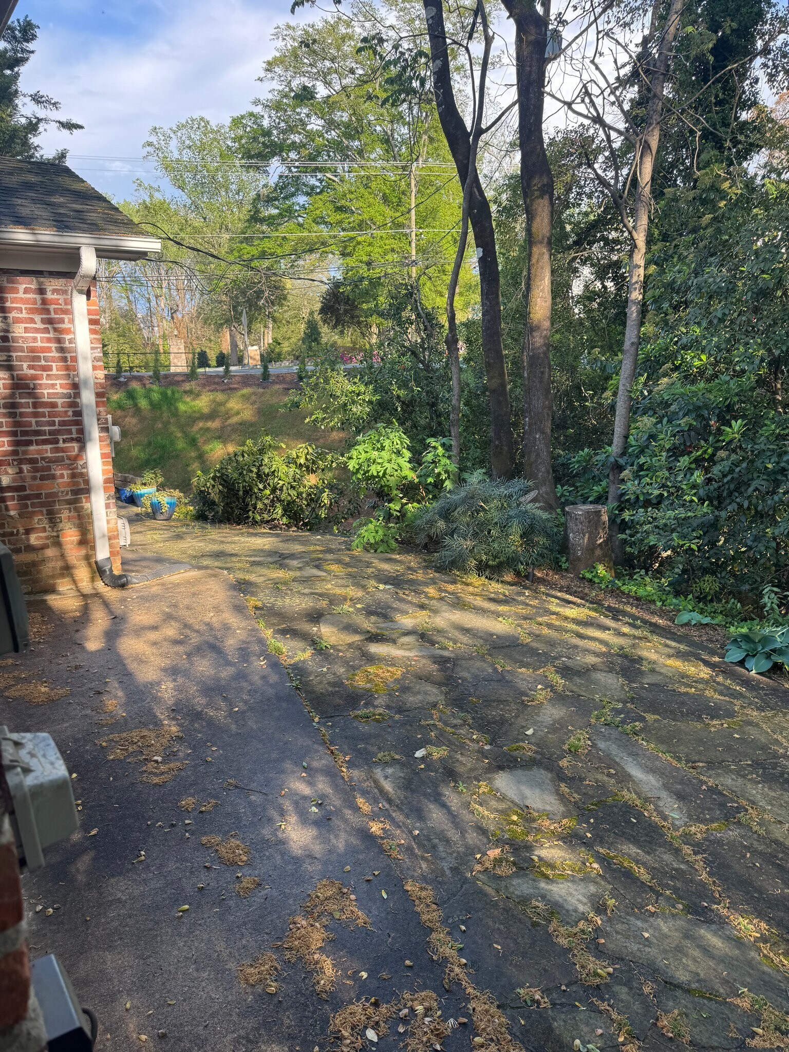 Building Photo - 608 University Ridge