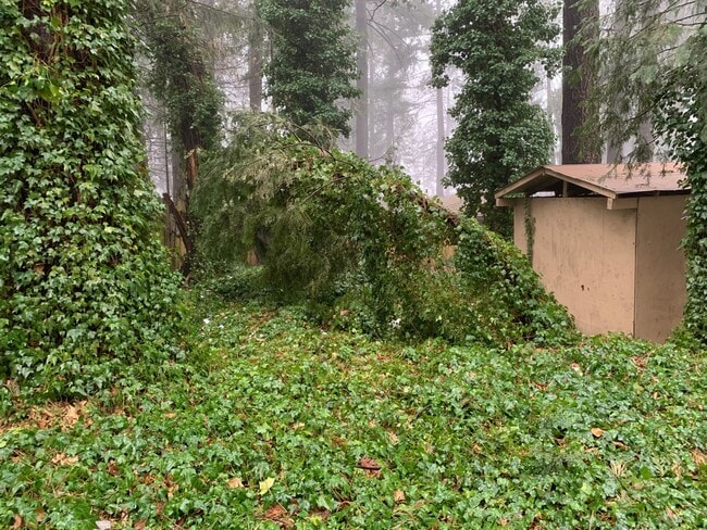 Building Photo - 2 Bedroom one bath Manufactured home on Cul De Sac