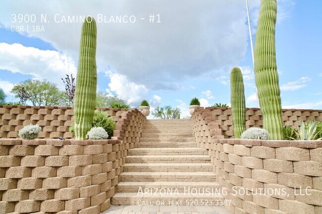 Building Photo - 3900 N Camino Blanco