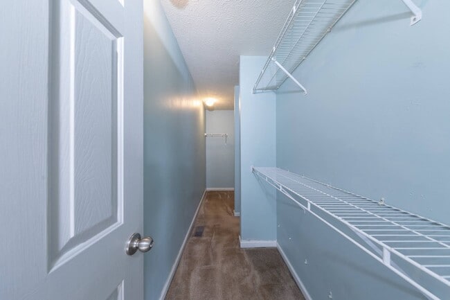 Building Photo - 203 Bruton Dr