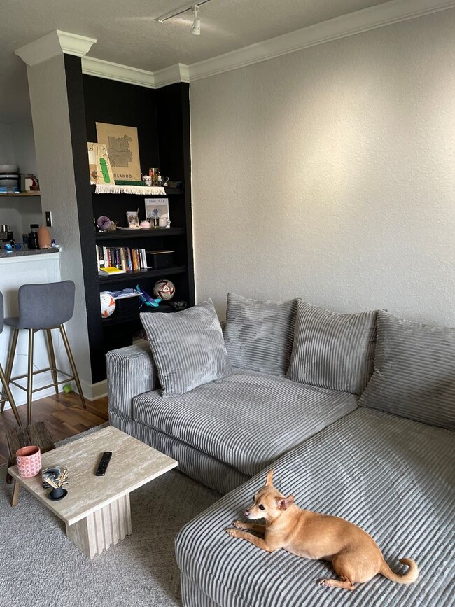 Building Photo - 6th Floor 1 bedroom overlooking Downtown O...