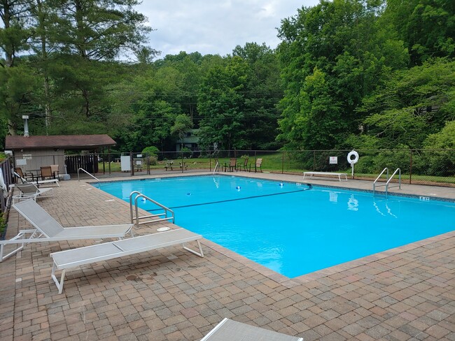 Building Photo - 116 Mogul Rd