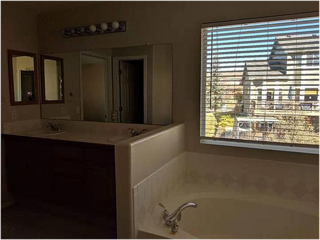 Building Photo - 1248 Dream Lake Ct