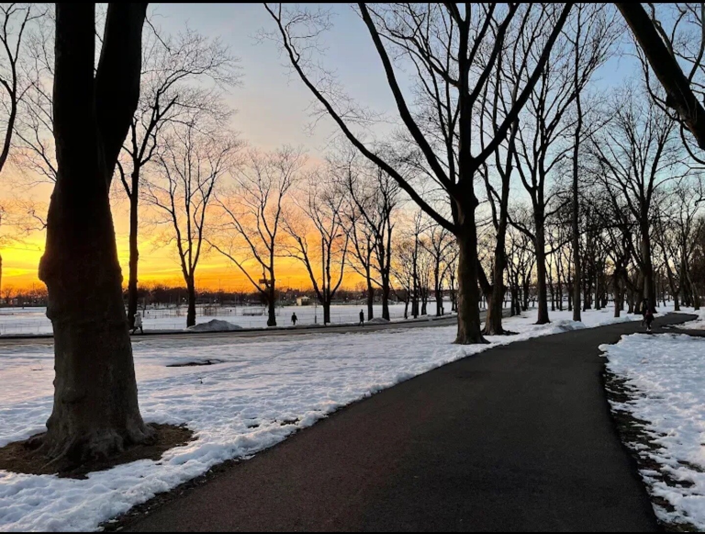 Building Photo - 189 Belvidere Ave