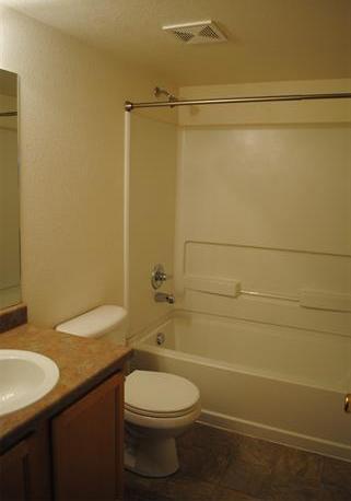 Guest bath/shower - 7334 Pearly Heath Rd