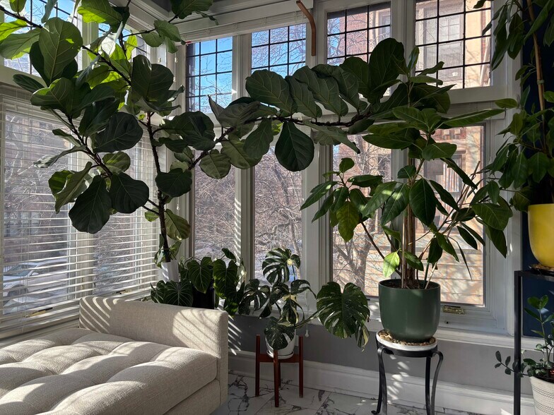 Building Photo - 642 W Bittersweet Pl