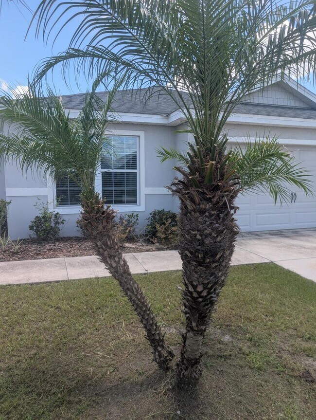 Building Photo - 3902 White Ibis Rd