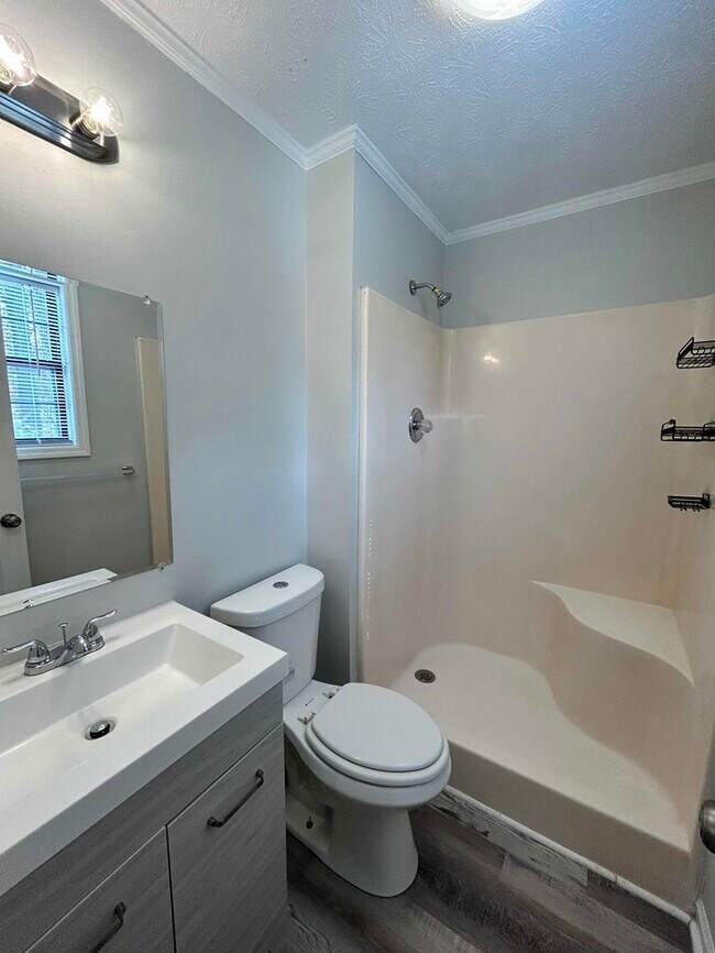 Building Photo - 3 Bed & 2 Bath House in White House | Pet-...