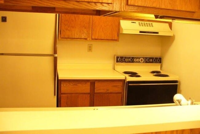 Building Photo - 203 Ski Ct