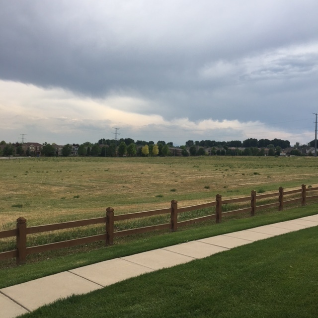 Building Photo - Wonderful 3 Bed, 2 Bath Condo in Longmont