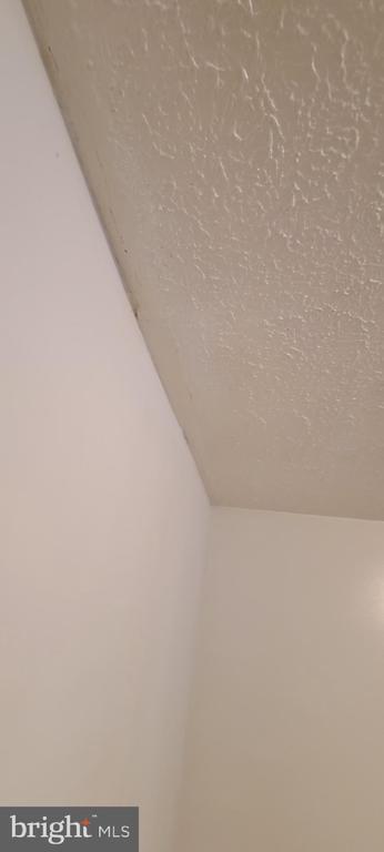 Building Photo - 319 Pendleton Dr