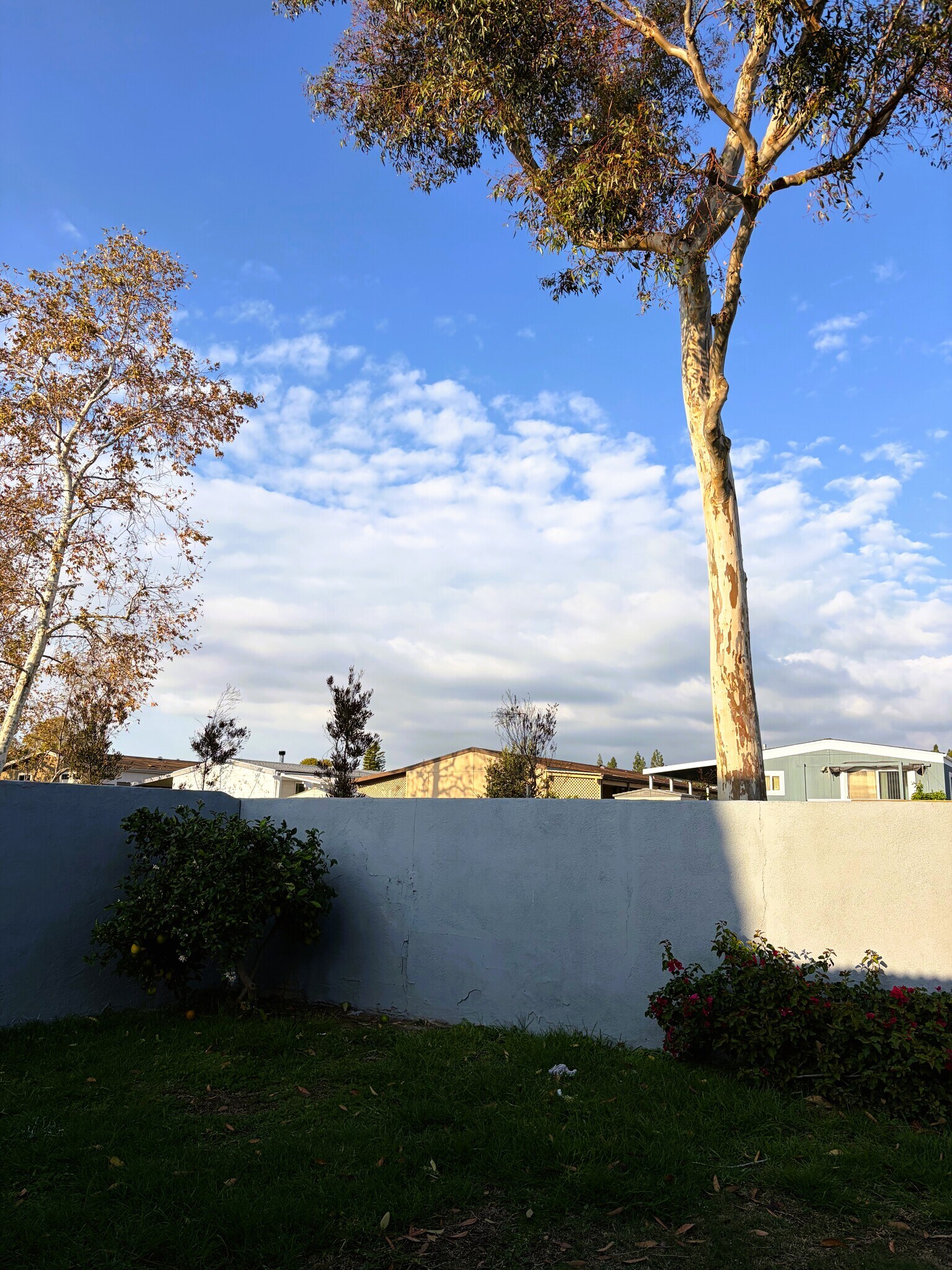 Building Photo - 58 Cape Cod