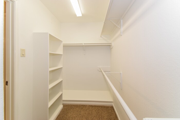Building Photo - 5047 Gulf Stream Ln