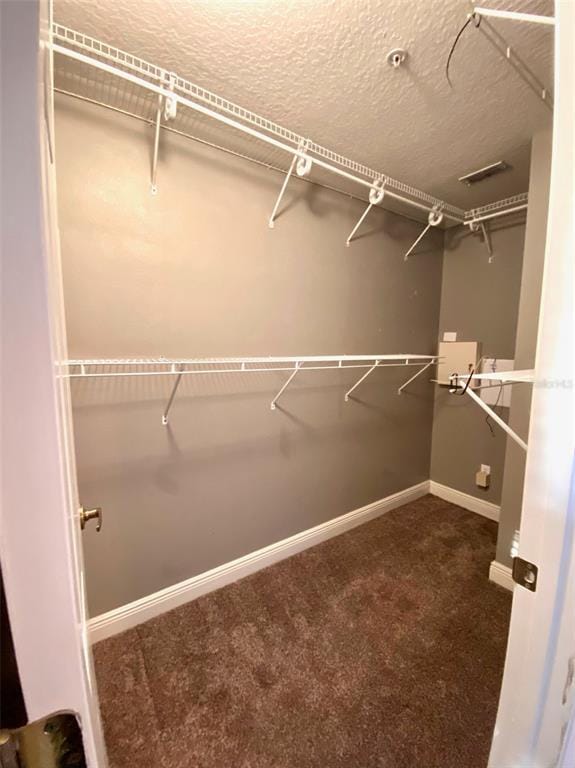 Building Photo - 4956 Luge Ln
