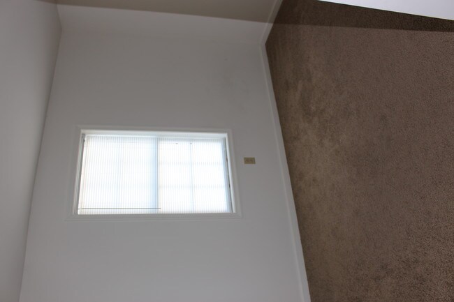 Natural Light - Madison Apartments