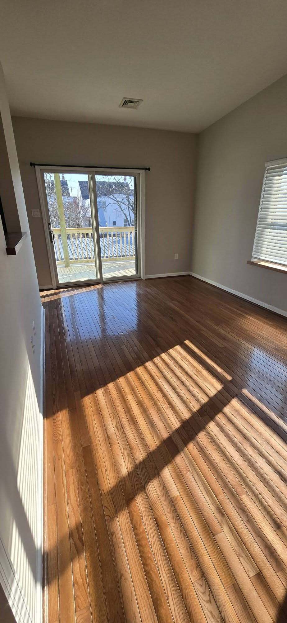 Bonus area - 245 Plum Aly