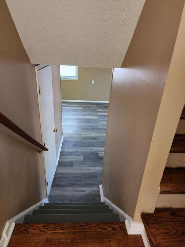 Building Photo - 4306 Shady Villa Dr