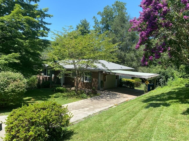 Building Photo - North AVL - Spacious Home with Large Yard and Outdoor Fireplace!