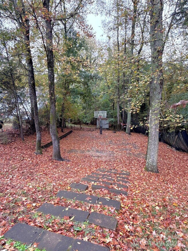 Building Photo - 2937 Royal Fern Ln